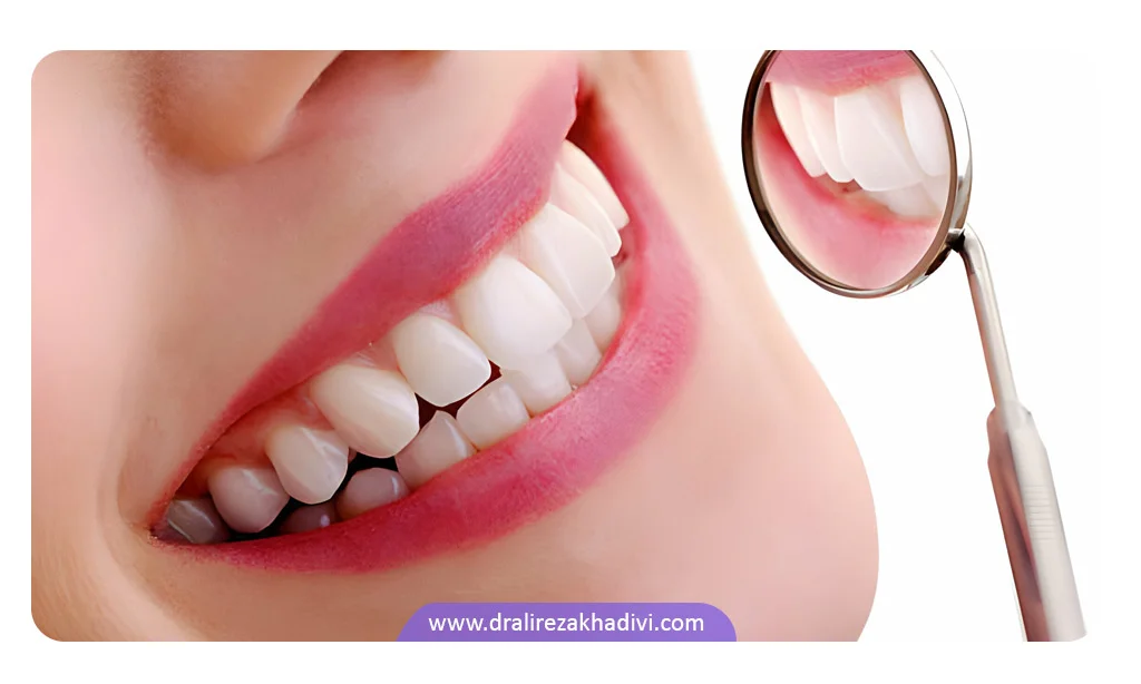 کاربردها و عملکرد دندان نیش
